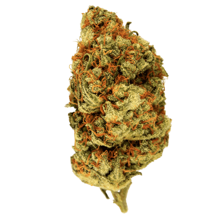 Fleur de CBD Guadeloupe 