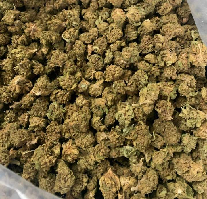 Fleurs de chanvre Guadeloupe